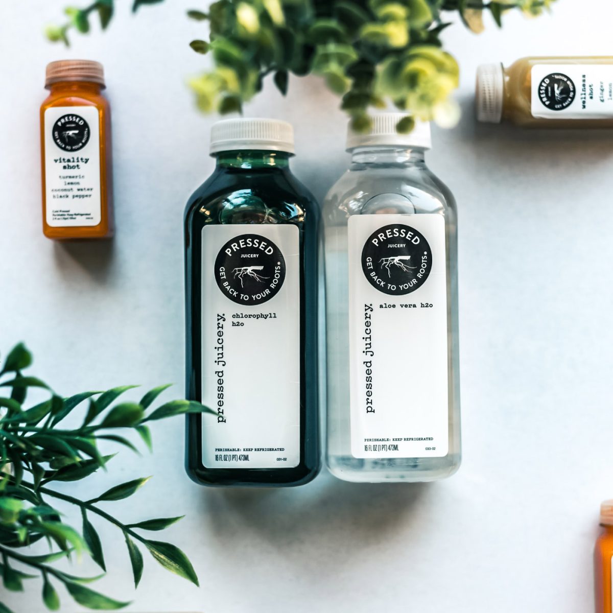 Data Encryption & Decryption Tool with Python